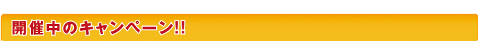 開催中のキャンペーンのご案内